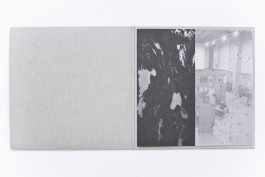 Veil Projects