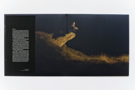 Veil Projects