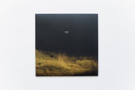 Veil Projects